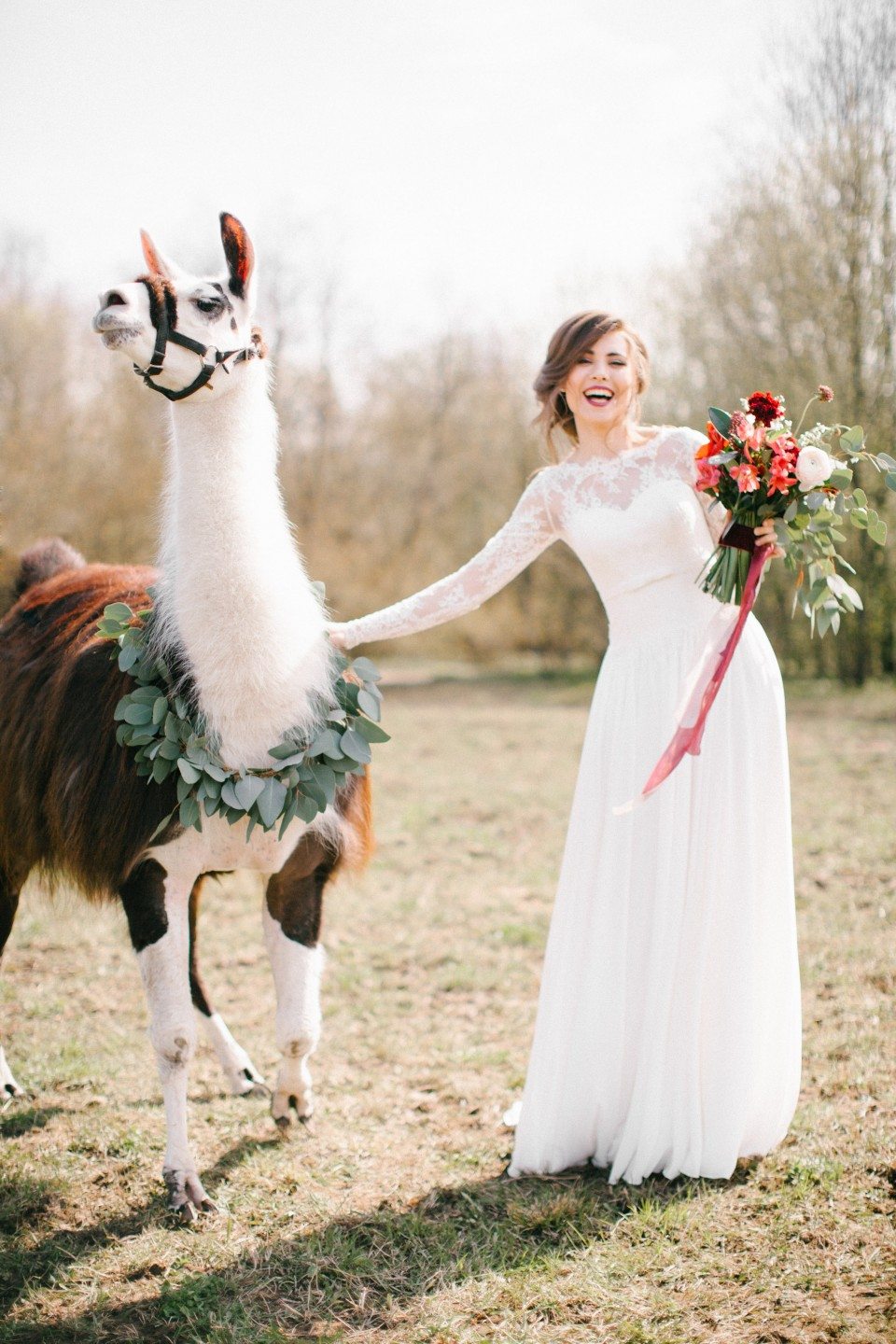 Lama wedding: стилизованная съемка