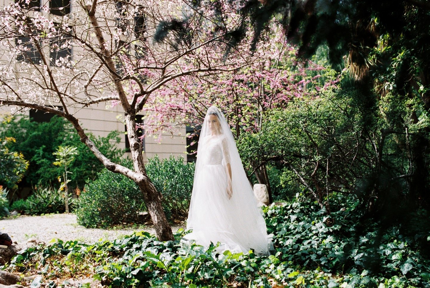 Вечная невеста: стилизованная фотосессия