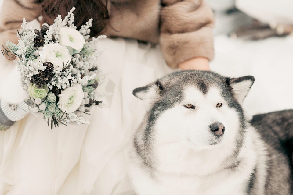 24 незабываемые зимние идеи с реальных свадеб