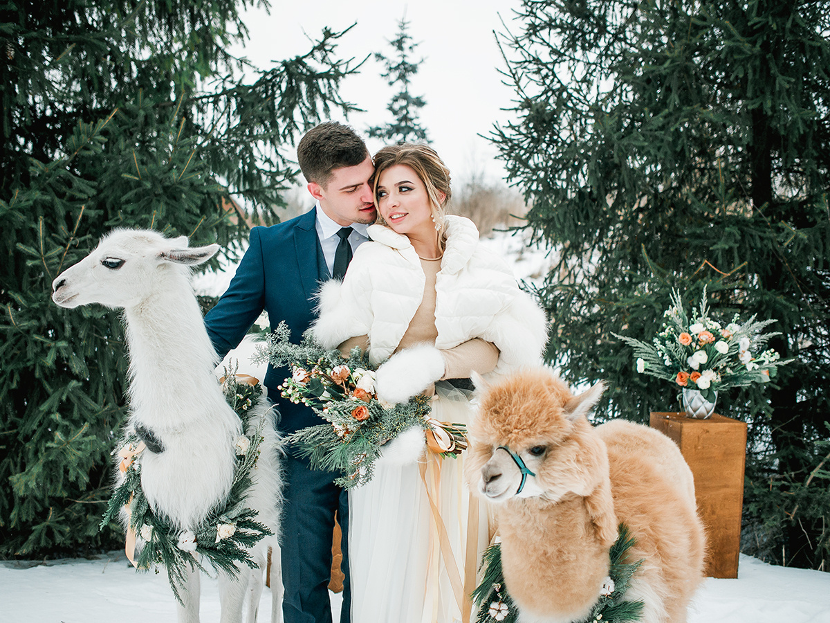 Lama Wedding: стилизованная фотосессия
