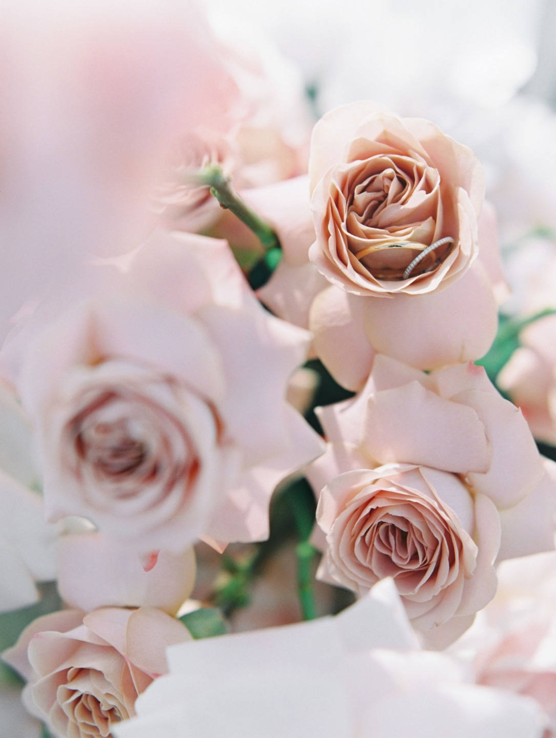 ФОТО ИЗ СТАТЬИ: Классическая свадьба в розовых оттенках на берегу реки